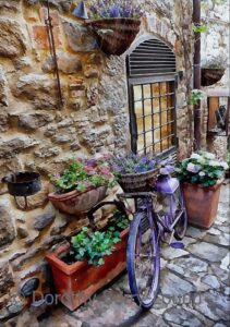 A glimpse down an Italian alleyway with a flagstone floor and the side of a stone built building. There is a window with a metal window grill. Hanging on the wall are various plant pots with green plants. On the flagstones there are more terracotta pots with flowering plants, but there is also a purple bicycle with a lavender basket on the handle and a purple lantern.