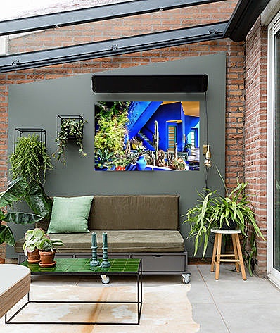 A striking blue building with yellow highlights and a bank of cacti features on an art print hanging on the wall in a conservatory.
